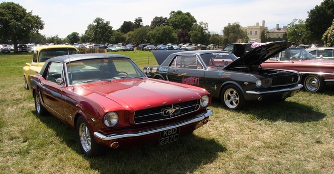 tn_46-A_pair_of_Mustangs_-_Flickr_-_exfordy