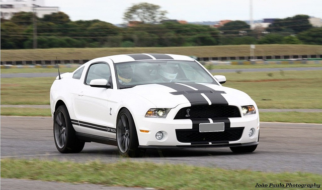 FORD MUSTANG SHELBY GT 500